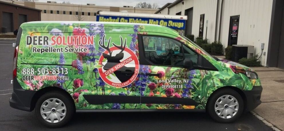 Get the Most Out of Your Vehicle Wrap